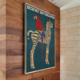 Arthouse Collective Munich Zoo Zebra Canvas Wall Art