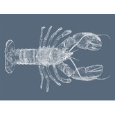 Arthouse Collective Be My Lobster Printed Wall Art
