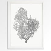 Arthouse Collective Natural Coral Printed Wall Art