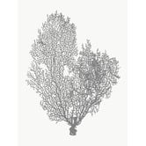 Arthouse Collective Natural Coral Printed Wall Art