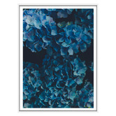 Arthouse Collective Hydra Love Framed Paper Print Wall Art