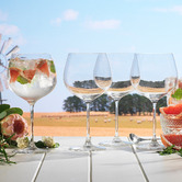 Ecology Classic 780ml Gin Glasses
