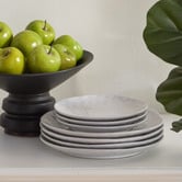 Ecology Speckle Dinner Set