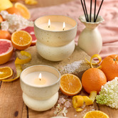 Ecology 2 Piece Autumn Sun Alchemy Candle &amp; Reed Diffuser Set