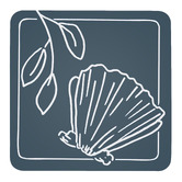 Ecology 8 Piece Feast Coaster Set