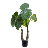 Bayview Living 100cm Alocasia Calidora Plant