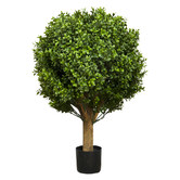 Bayview Living 65cm Boxwood Ball Plant