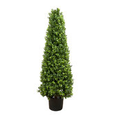 Bayview Living 100cm Potted Boxwood Pyramid Tree