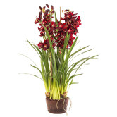 Bayview Living 110cm Burgundy Cymbidium Giant Paper Pot