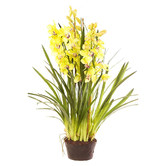 Bayview Living 110cm Firefly Cymbidium Giant Paper Pot