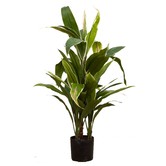 Bayview Living 75cm Green &amp; Yellow Artificial Cordyline Plant