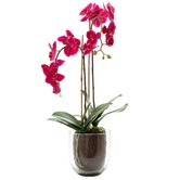 Bayview Living Faux Orchids with Glass Vase