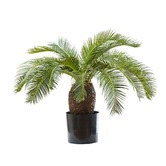 Bayview Living 65cm 19 Leaves Faux Cycus Palm