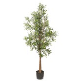 BayviewLiving 170cm Georgio Faux Olive Tree | Temple & Webster
