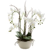 Bayview Living 60cm White Real Touch Orchid with Pot