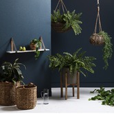 Bayview Living Cancun Hanging Basket