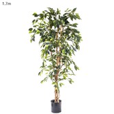 Bayview Living 170cm Artificial Ficus Tree