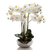 Bayview Living Real Touch Phalaenopsis with Pot