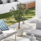 Bayview Living 170cm Georgio Faux Olive Tree