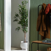 Bayview Living 170cm Georgio Faux Olive Tree