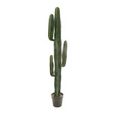 Bayview Living 156cm Potted Faux Desert Cactus