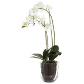 Bayview Living Faux Orchids with Glass Vase