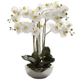 Bayview Living Real Touch Phalaenopsis with Pot