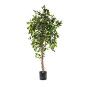 Bayview Living 180cm Artificial Ficus Vine Tree