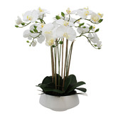 Bayview Living 51cm White Potted Faux Orchid