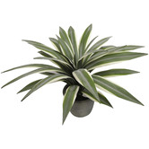 Bayview Living 35cm Potted Faux Flax Leaf