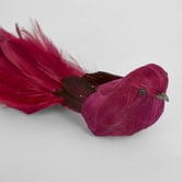 Bayview Living Feathered Bird Christmas Tree Clips