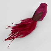 Bayview Living Feathered Bird Christmas Tree Clips