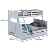 Gigi&#039;s Garden Lincoln I Single Over Double Bunk Bed with Trundle