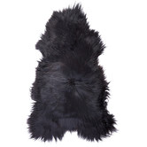 All Natural Hides and Sheepskins Icelandic Noir Sheep Rug