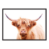Campana Collective Hairy Highland Cow Printed Wall Art