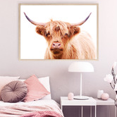 Campana Collective Hairy Highland Cow Printed Wall Art