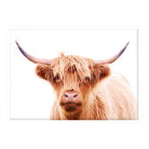 Campana Collective Hairy Highland Cow Printed Wall Art