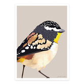 Campana Collective Spotted Pardalote Printed Wall Art
