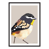 Campana Collective Spotted Pardalote Printed Wall Art
