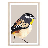 Campana Collective Spotted Pardalote Printed Wall Art