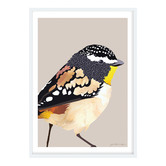 Campana Collective Spotted Pardalote Printed Wall Art