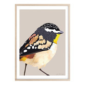Campana Collective Spotted Pardalote Printed Wall Art