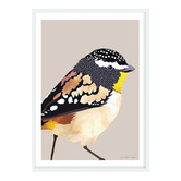 Campana Collective Spotted Pardalote Printed Wall Art