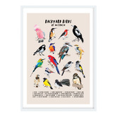 Campana Collective Backyard Birds Of Australia Printed Wall Art