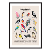 Campana Collective Backyard Birds Of Australia Printed Wall Art