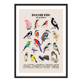 Campana Collective Backyard Birds Of Australia Printed Wall Art
