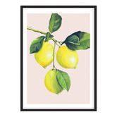 Campana Collective Lemons Printed Wall Art