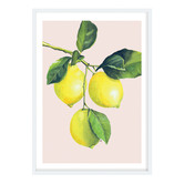 Campana Collective Lemons Printed Wall Art