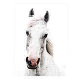Campana Collective Dappled Printed Wall Art