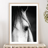 Campana Collective Horse Close-up Printed Wall Art